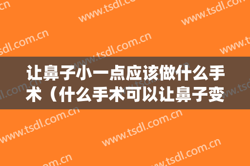 让鼻子小一点应该做什么手术（什么手术可以让鼻子变小）(怎样才能让鼻子变小变好看不做手术)