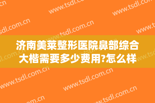 济南美莱整形医院鼻部综合大楷需要多少费用?怎么样?(鼻部整形收费)