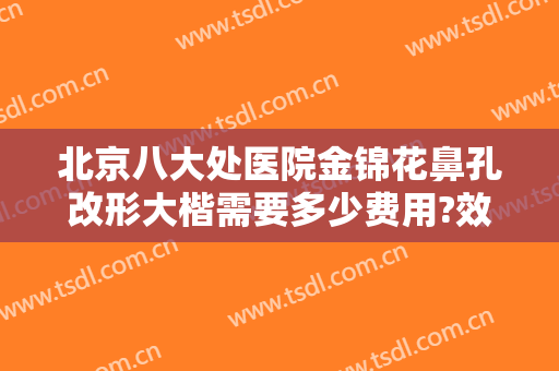 北京八大处医院金锦花鼻孔改形大楷需要多少费用?效果怎么样?
