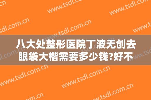 八大处整形医院丁波无创去眼袋大楷需要多少钱?好不好?
