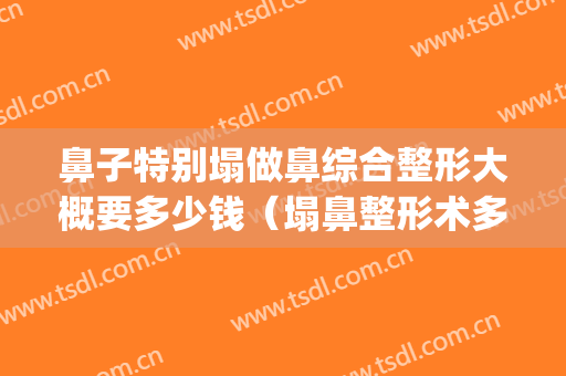 鼻子特别塌做鼻综合整形大概要多少钱（塌鼻整形术多少钱）(塌陷手术多少钱)