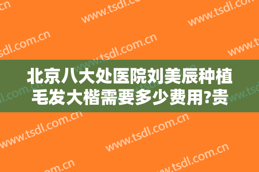 北京八大处医院刘美辰种植毛发大楷需要多少费用?贵不贵?