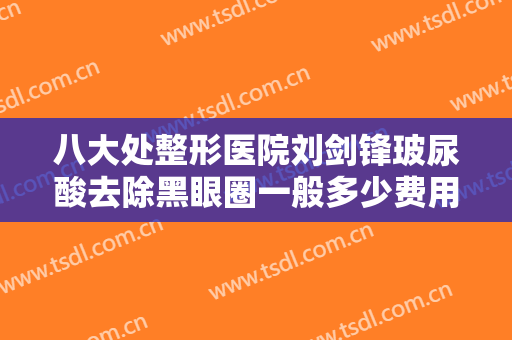 八大处整形医院刘剑锋玻尿酸去除黑眼圈一般多少费用?有哪些优势?