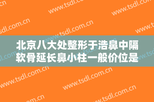 北京八大处整形于浩鼻中隔软骨延长鼻小柱一般价位是多少?效果怎么样?