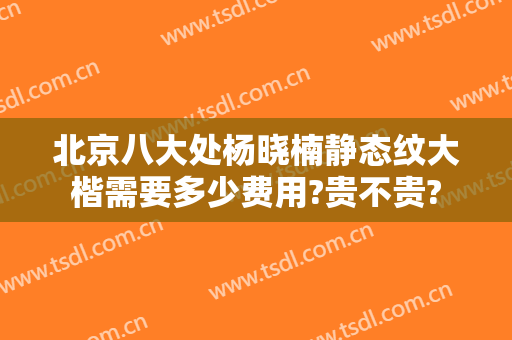 北京八大处杨晓楠静态纹大楷需要多少费用?贵不贵?