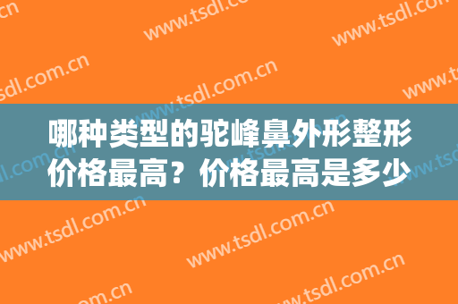 哪种类型的驼峰鼻外形整形价格最高？价格最高是多少钱？(驼峰鼻整形前后对比)