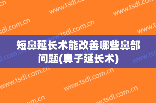 短鼻延长术能改善哪些鼻部问题(鼻子延长术)