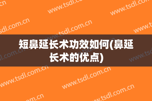 短鼻延长术功效如何(鼻延长术的优点)