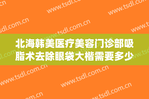 北海韩美医疗美容门诊部吸脂术去除眼袋大楷需要多少钱?靠谱吗?(上海韩式眼袋整形的费用)