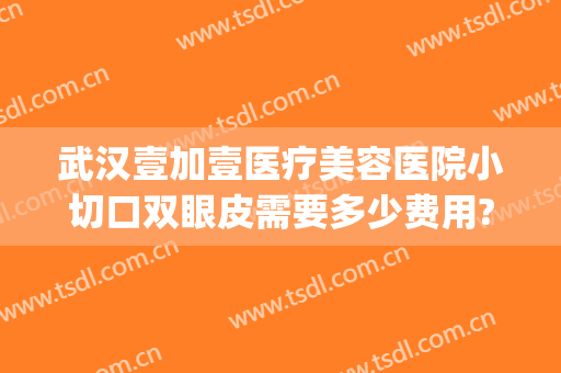 武汉壹加壹医疗美容医院小切口双眼皮需要多少费用?可靠吗?(武汉美加壹医疗美容医院怎么样)