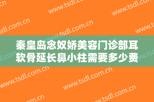 秦皇岛念奴娇美容门诊部耳软骨延长鼻小柱需要多少费用?靠谱吗?