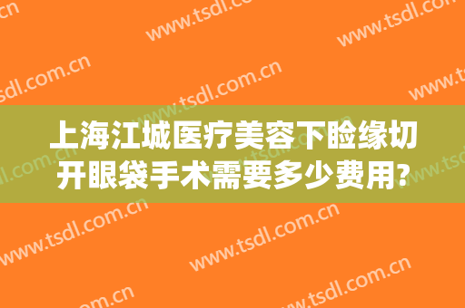 上海江城医疗美容下睑缘切开眼袋手术需要多少费用?靠谱吗?(眼睑手术)