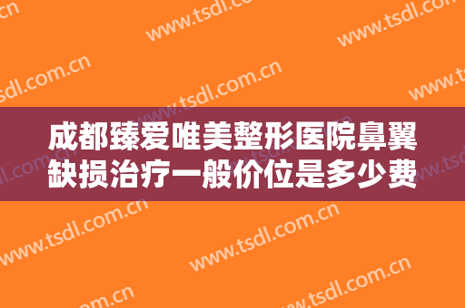 成都臻爱唯美整形医院鼻翼缺损治疗一般价位是多少费用?好不好?