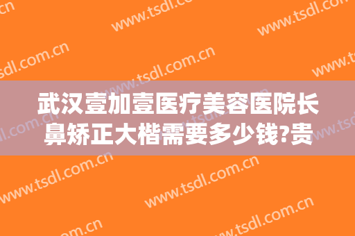 武汉壹加壹医疗美容医院长鼻矫正大楷需要多少钱?贵不贵?(武汉壹加医疗美容医院医生)
