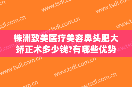 株洲致美医疗美容鼻头肥大矫正术多少钱?有哪些优势?(鼻头整形手术费用)