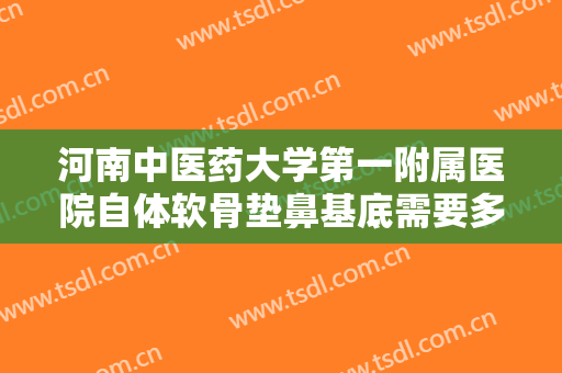 河南中医药大学第一附属医院自体软骨垫鼻基底需要多少费用?怎么样?