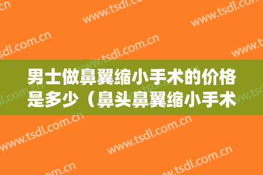 男士做鼻翼缩小手术的价格是多少（鼻头鼻翼缩小手术价钱）(鼻翼缩小术要多少钱)