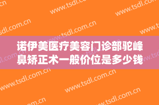 诺伊美医疗美容门诊部驼峰鼻矫正术一般价位是多少钱?有哪些优势?(诺美整形医院口碑评价)