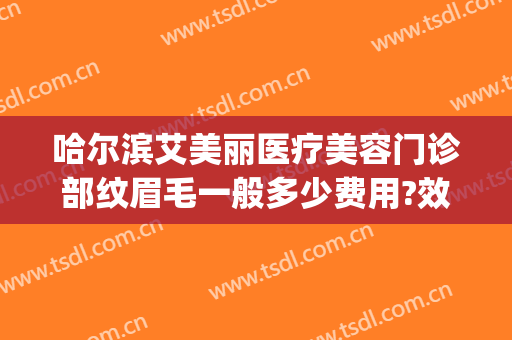 哈尔滨艾美丽医疗美容门诊部纹眉毛一般多少费用?效果怎么样?(艾美纹眉要多少钱)
