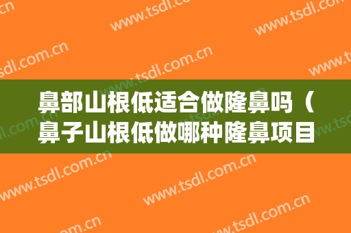 鼻部山根低适合做隆鼻吗（鼻子山根低做哪种隆鼻项目比较合适）(鼻子山根低适合做什么项目)