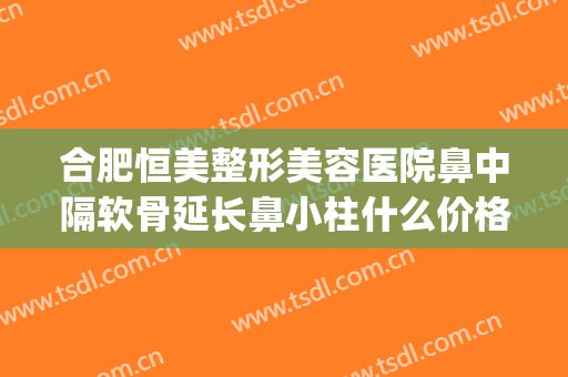 合肥恒美整形美容医院鼻中隔软骨延长鼻小柱什么价格?靠谱吗?(鼻小柱矫正多少钱)