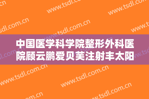 中国医学科学院整形外科医院顾云鹏爱贝芙注射丰太阳穴术价钱?贵不贵?