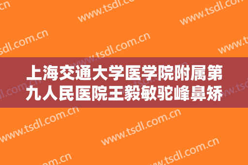 上海交通大学医学院附属第九人民医院王毅敏驼峰鼻矫正价格?怎么样?