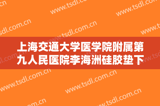 上海交通大学医学院附属第九人民医院李海洲硅胶垫下巴大楷需要多少钱?好不好?