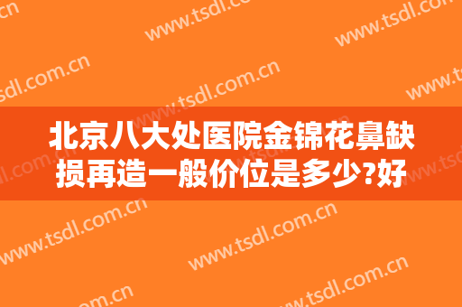 北京八大处医院金锦花鼻缺损再造一般价位是多少?好不好?