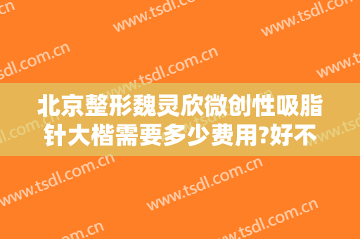 北京整形魏灵欣微创性吸脂针大楷需要多少费用?好不好?