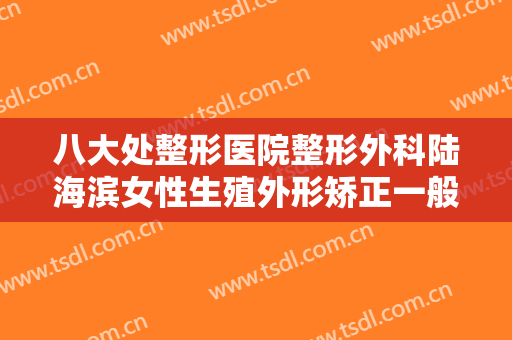 八大处整形医院整形外科陆海滨女性生殖外形矫正一般价位是多少费用?怎么样?