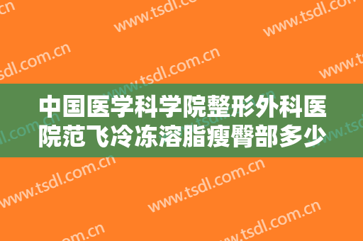 中国医学科学院整形外科医院范飞冷冻溶脂瘦臀部多少钱?效果怎么样?