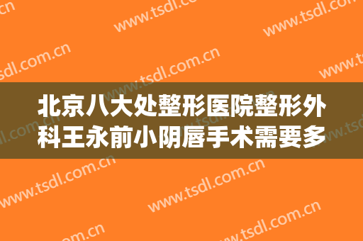 北京八大处整形医院整形外科王永前小阴唇手术需要多少钱?靠谱吗?(八大处整形医院 北院)