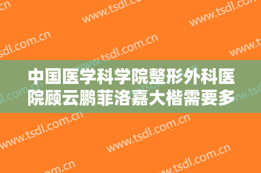 中国医学科学院整形外科医院顾云鹏菲洛嘉大楷需要多少费用?需要多久恢复?