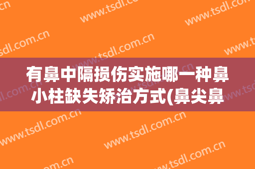 有鼻中隔损伤实施哪一种鼻小柱缺失矫治方式(鼻尖鼻小柱的缺损修复可采用以下哪些方法)