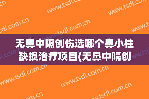 无鼻中隔创伤选哪个鼻小柱缺损治疗项目(无鼻中隔创伤选哪个鼻小柱缺损治疗项目呢)