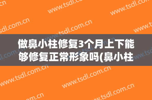 做鼻小柱修复3个月上下能够修复正常形象吗(鼻小柱三个月可以修复吗?)
