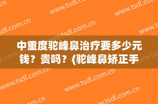 中重度驼峰鼻治疗要多少元钱？贵吗？(驼峰鼻矫正手术风险大吗)