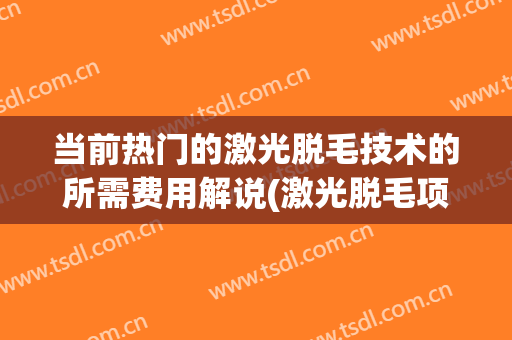当前热门的激光脱毛技术的所需费用解说(激光脱毛项目)