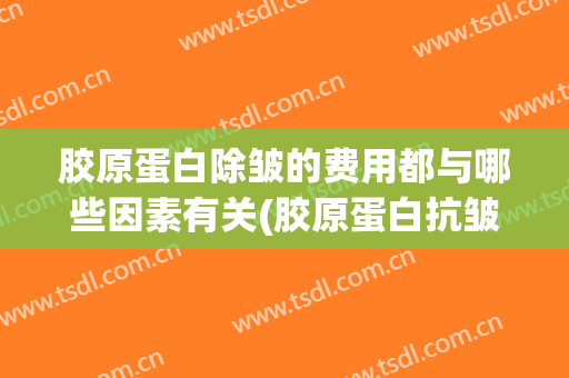 胶原蛋白除皱的费用都与哪些因素有关(胶原蛋白抗皱吗)