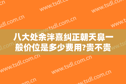 八大处余泮熹纠正朝天鼻一般价位是多少费用?贵不贵?