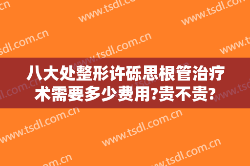 八大处整形许砾思根管治疗术需要多少费用?贵不贵?