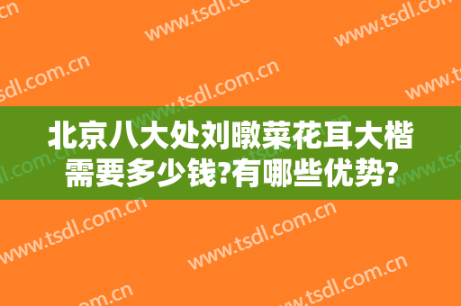 北京八大处刘暾菜花耳大楷需要多少钱?有哪些优势?