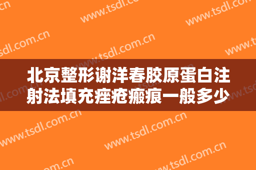 北京整形谢洋春胶原蛋白注射法填充痤疮瘢痕一般多少费用?效果怎么样?