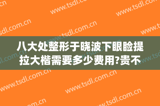 八大处整形于晓波下眼睑提拉大楷需要多少费用?贵不贵?(八大处眼部整形哪个大夫最好)