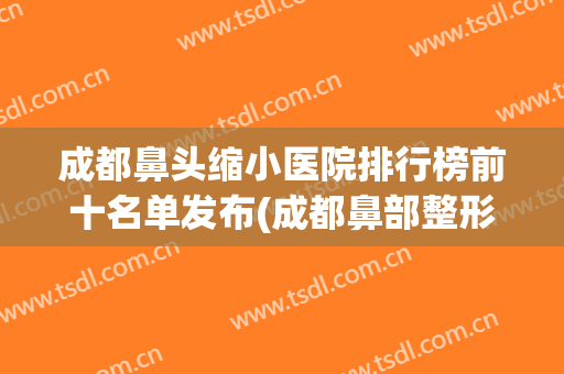 成都鼻头缩小医院排行榜前十名单发布(成都鼻部整形专家排行)