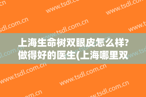 上海生命树双眼皮怎么样?做得好的医生(上海哪里双眼皮手术做得好)