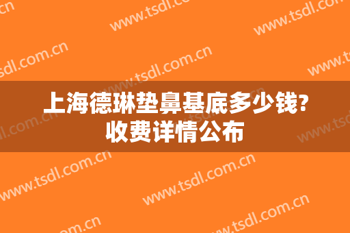 上海德琳垫鼻基底多少钱?收费详情公布