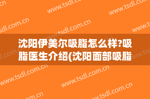 沈阳伊美尔吸脂怎么样?吸脂医生介绍(沈阳面部吸脂哪家好)