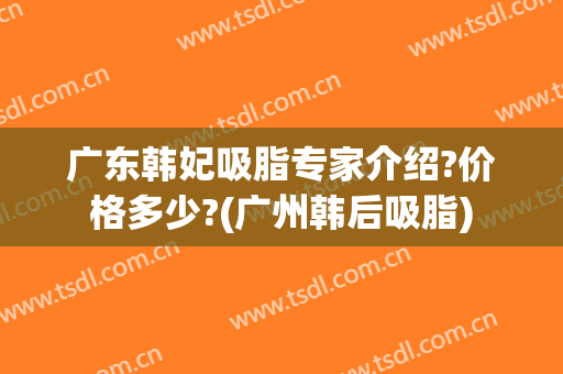 广东韩妃吸脂专家介绍?价格多少?(广州韩后吸脂)